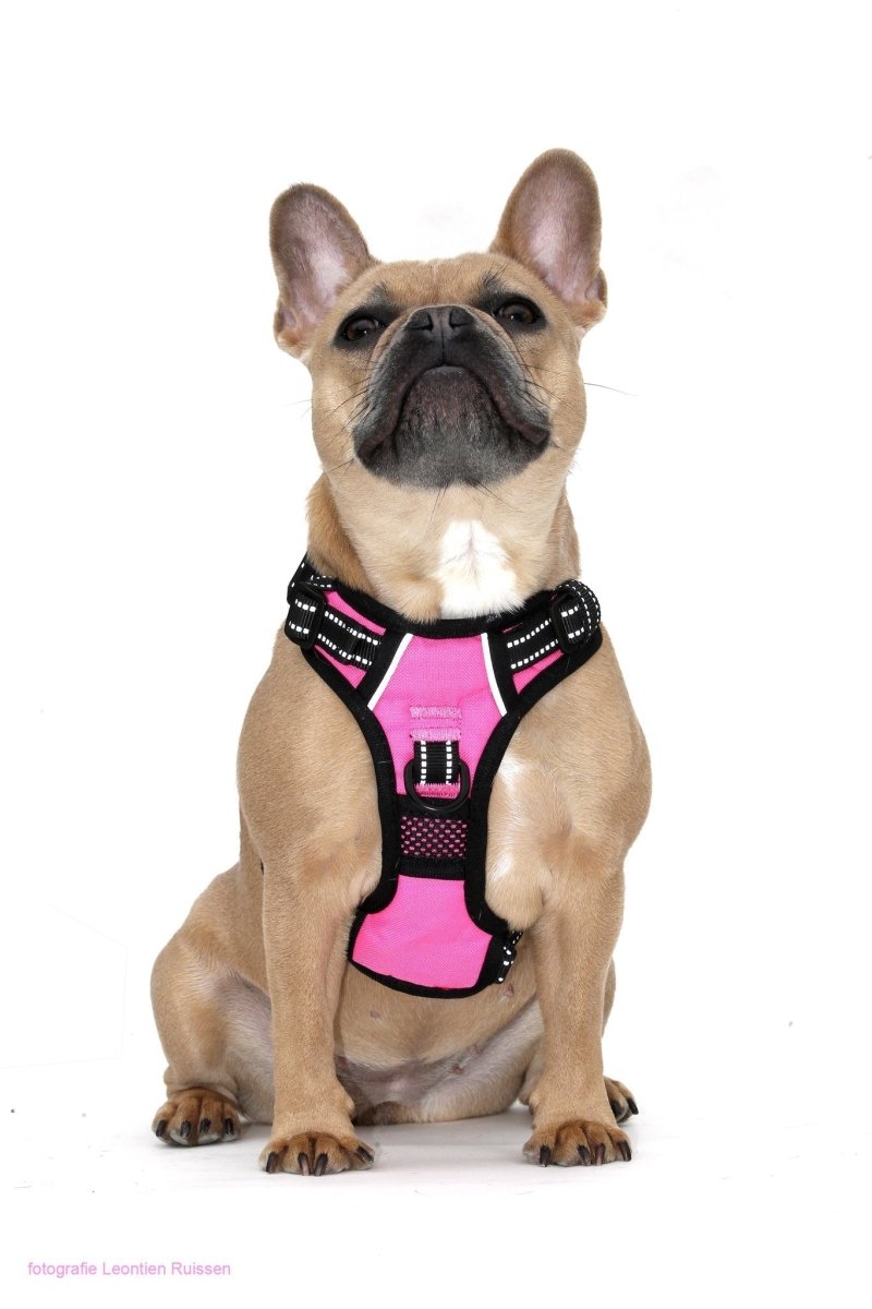 Frenkiez reflective Y tuig dog harness pink hondentuig > honden harnas > Y tuigen X - Small