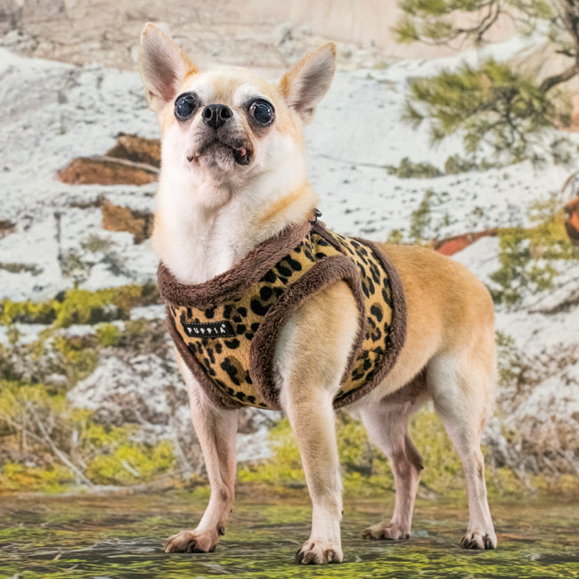 Puppia Wild Vest Harness B Brown