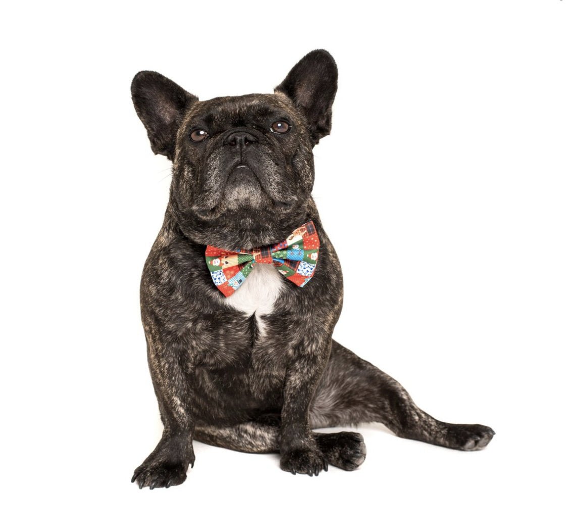 Big and Little Dogs Halsband Silly Season ( XS & M ) halsband > hondenhalsband X - Small