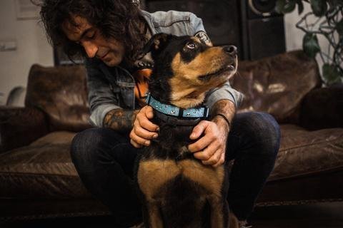 Dukier halsband collar Skulls halsband > hondenhalsband X - Small