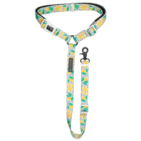 Big and Little Dogs premium autogordel Main Squeeze - Premium Autogordel > Autoriem from Big and Little Dogs - Just €10! Shop now at Frenkiezdogshop