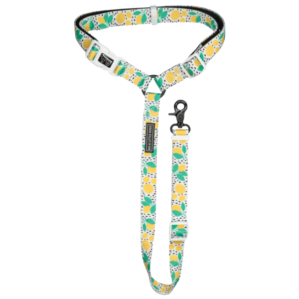 Big and Little Dogs premium autogordel Main Squeeze Autogordel > Autoriem Standaard/One Size