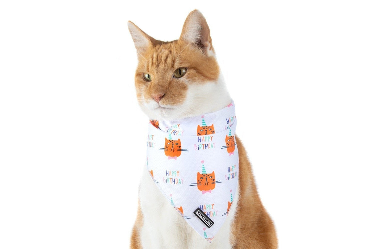 Little Kitty Cat Bandana Happy Birthday - Premium Kattenkleding > bandana from Little Kitty - Just €5! Shop now at Frenkiezdogshop