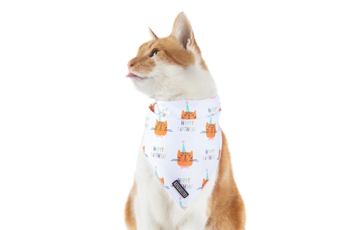 Little Kitty Cat Bandana Happy Birthday Kattenkleding > bandana Standaard/One Size