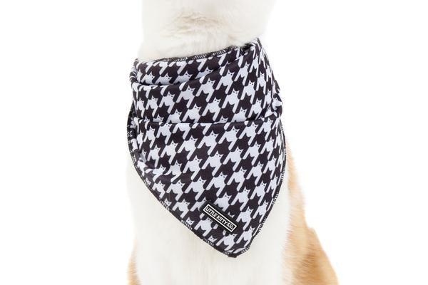 Little Kitty Cat Bandana Catstooth - Premium Kattenkleding > bandana from Little Kitty - Just €5! Shop now at Frenkiezdogshop