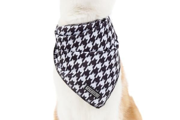 Little Kitty Cat Bandana Catstooth Kattenkleding > bandana Standaard/One Size