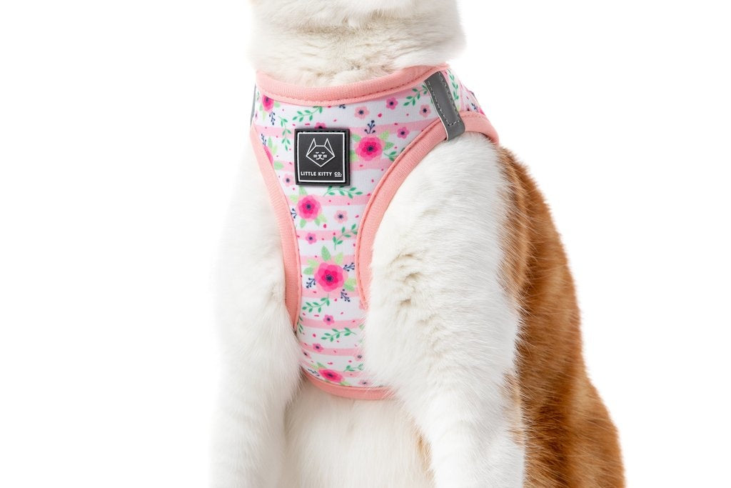Little Kitty Cat Harness Fancy Florals Kattentuig > kattenharnas X - Small