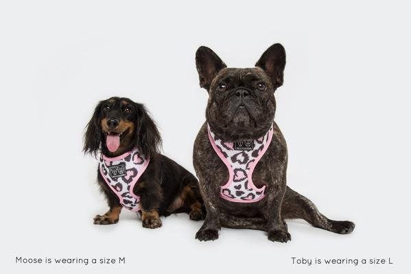 Big and Little Dogs Classic Harness Wild Love ( ALLEEN XXL ) hondentuig > honden harnas > model A Medium