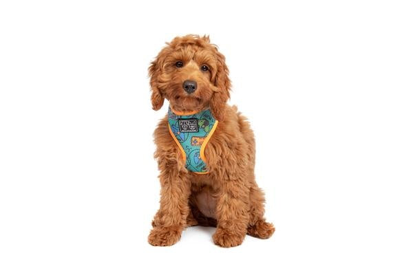 Big & Little Dogs Classic Harness Game Over XLARGE - Premium hondentuig > honden harnas from Big and Little Dogs - Just €10! Shop now at Frenkiezdogshop