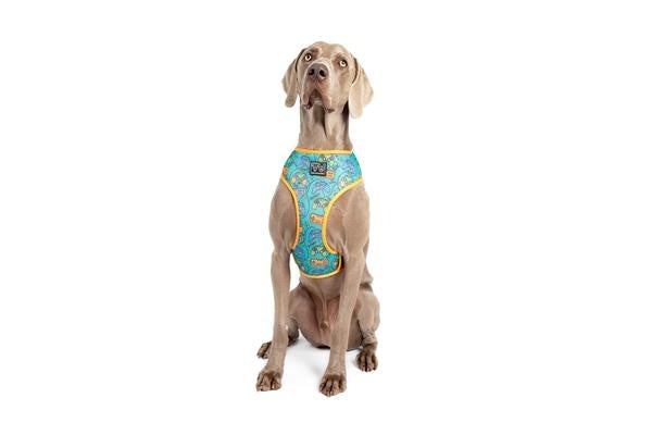 Big & Little Dogs Classic Harness Game Over XLARGE - Premium hondentuig > honden harnas from Big and Little Dogs - Just €10! Shop now at Frenkiezdogshop