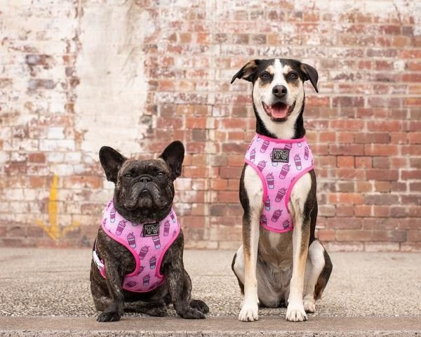 Big & Little Dogs Classic Harness Slushies ( XS, XL & XXL ) hondentuig > honden harnas > model A X - Large