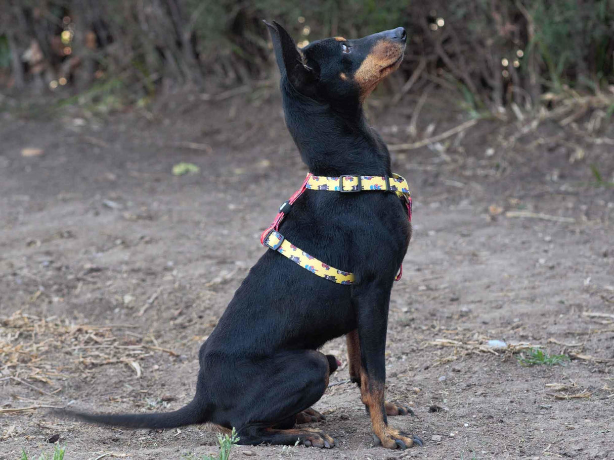 Dukier Classic Harness Superdog - Premium hondentuig > honden harnas from Dukier - Just €10! Shop now at Frenkiezdogshop