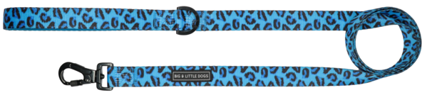 Big and Little Dogs Lijn Blue Leopard - Premium hondenriem > hondenlijn from Big and Little Dogs - Just €10! Shop now at Frenkiezdogshop
