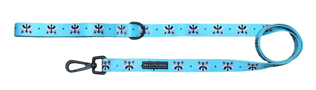 Big and Little Dogs Lijn Trash Panda - Premium hondenriem > hondenlijn from Big and Little Dogs - Just €10! Shop now at Frenkiezdogshop