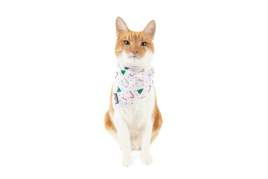 Little Kitty Cat Bandana Meowy Cat-mas - Premium Kattenkleding > bandana from Little Kitty - Just €5! Shop now at Frenkiezdogshop