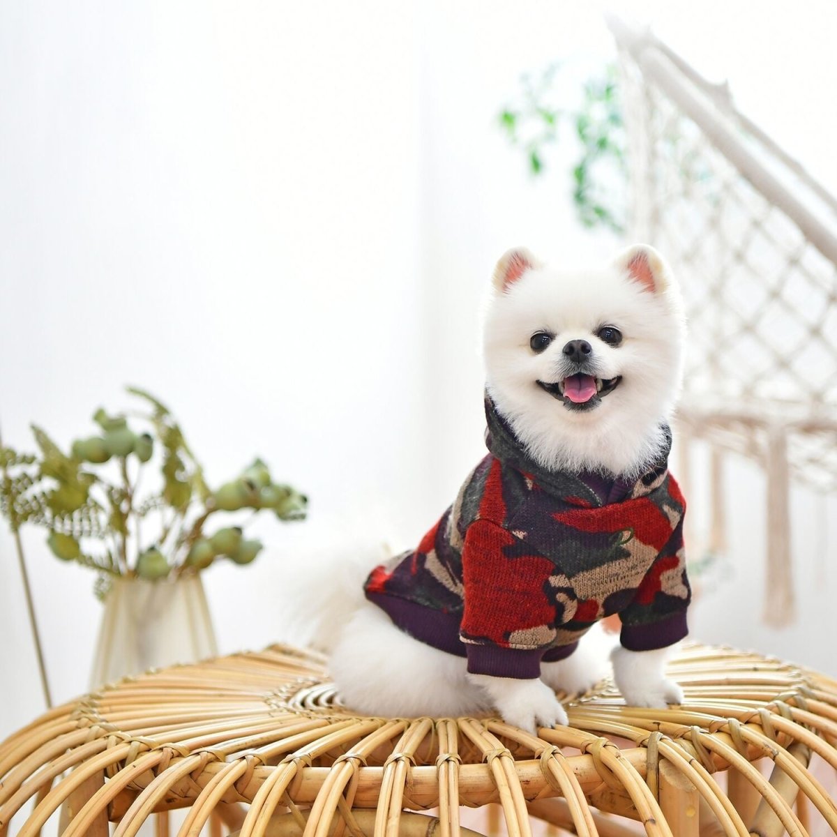 Puppia Colonel Hoodie Wine Camo Hondenkleding > Hondentrui Small