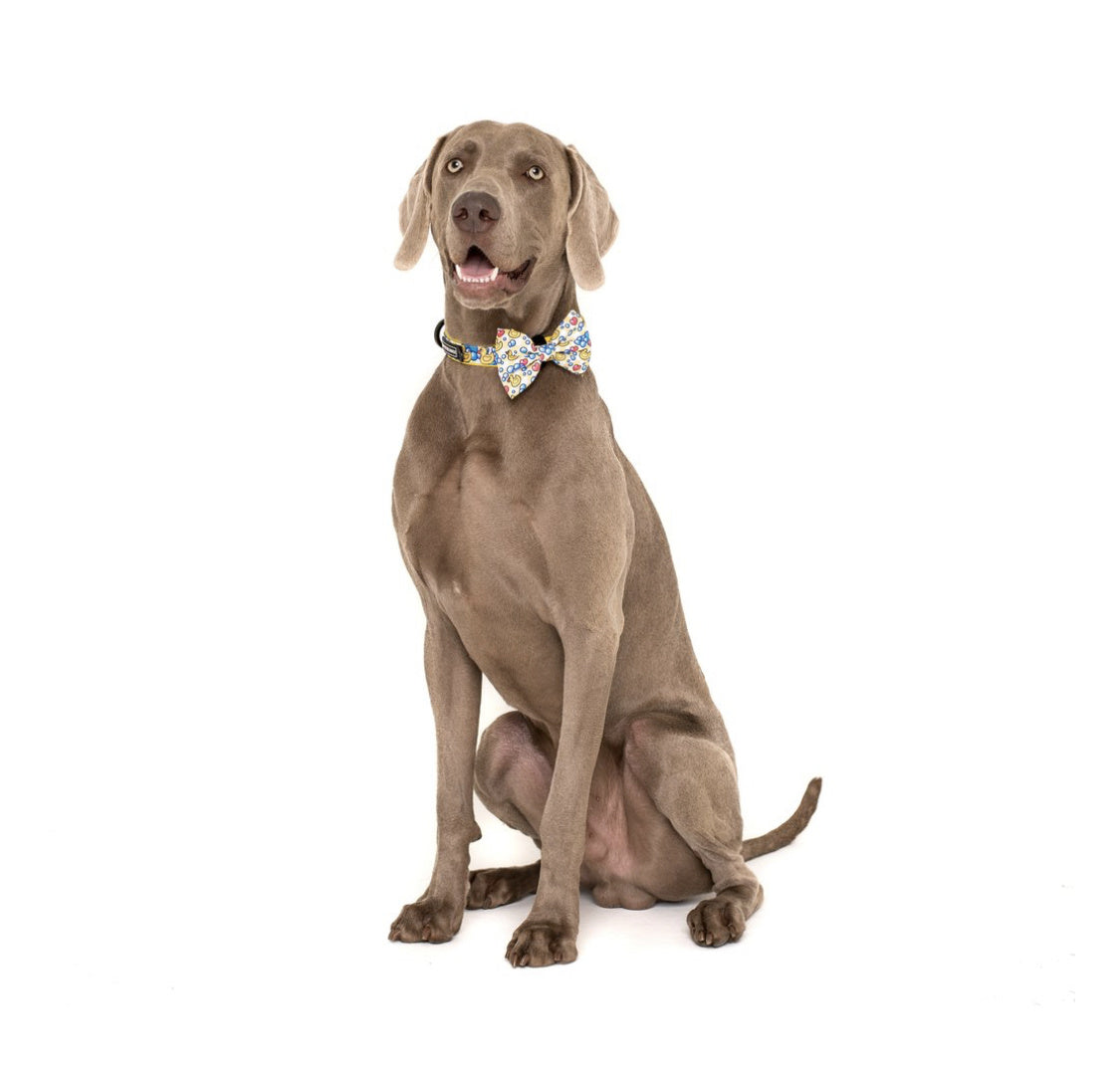 Big and Little Dogs Halsband Rubber Ducky ( SMALL ) - Premium halsband > hondenhalsband from Big and Little Dogs - Just €10! Shop now at Frenkiezdogshop