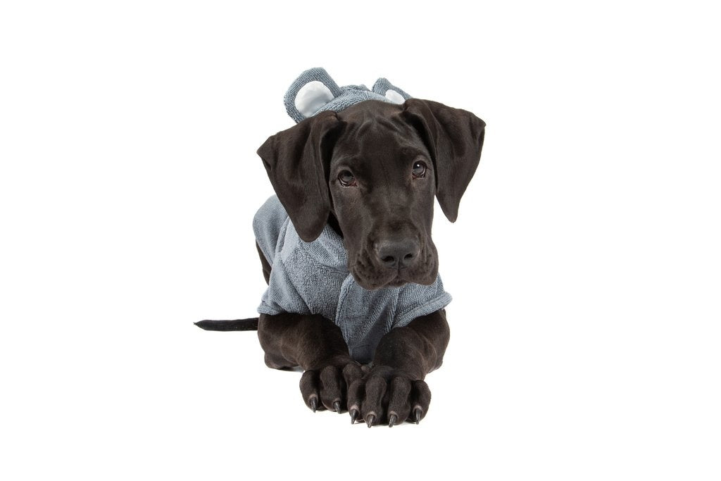 Big and Little Dogs Badjas Charcoal - Premium Hondenbadjas > Dogrobe from Big and Little Dogs - Just €20! Shop now at Frenkiezdogshop