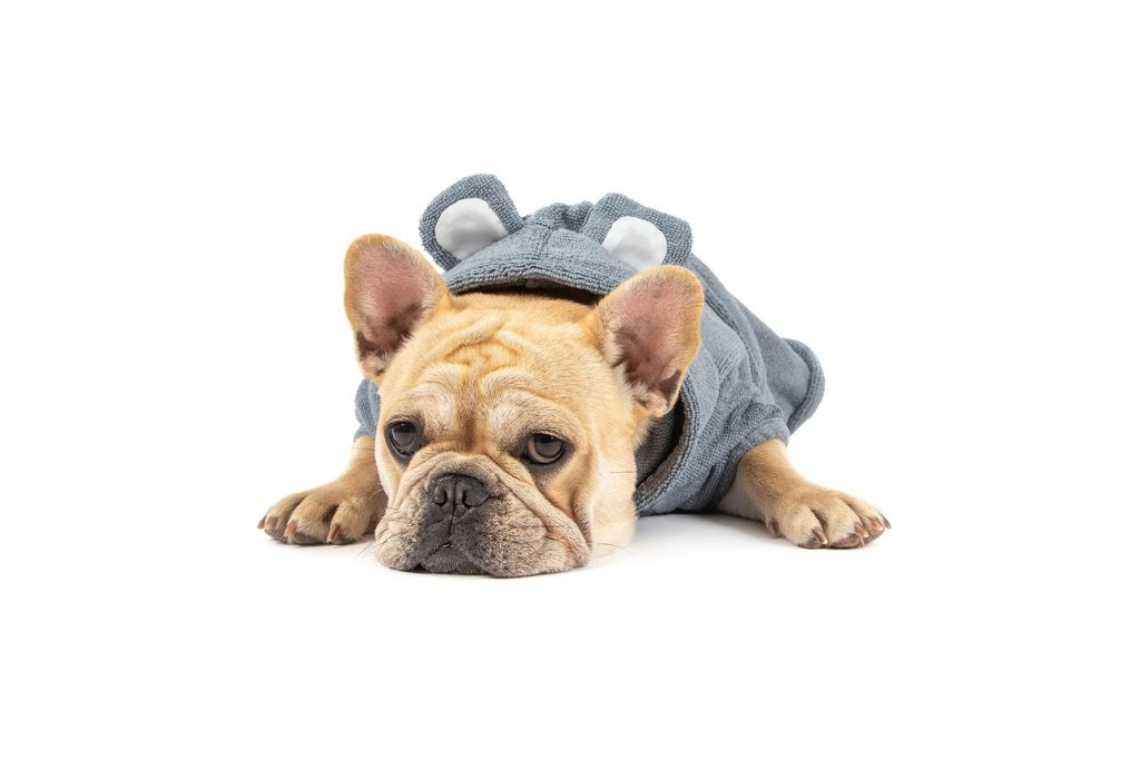 Big and Little Dogs Badjas Charcoal - Premium Hondenbadjas > Dogrobe from Big and Little Dogs - Just €20! Shop now at Frenkiezdogshop