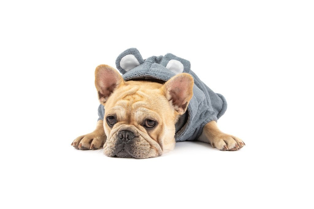 Big and Little Dogs Badjas Charcoal Hondenbadjas > Dogrobe X - Small