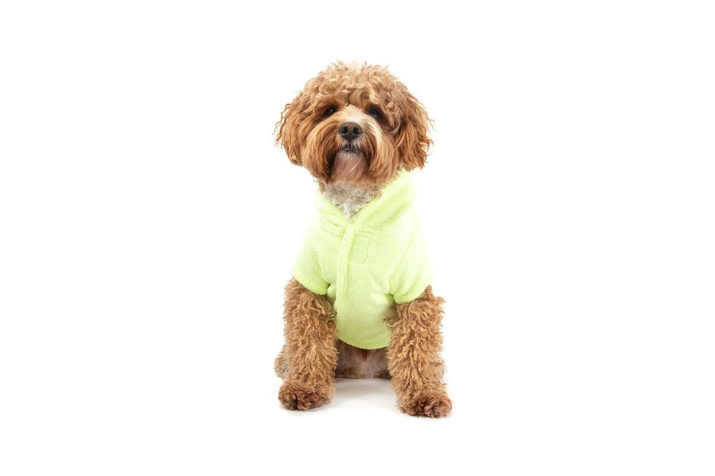 Big and Little Dogs Badjas Lime - Premium Hondenbadjas > Dogrobe from Big and Little Dogs - Just €20! Shop now at Frenkiezdogshop