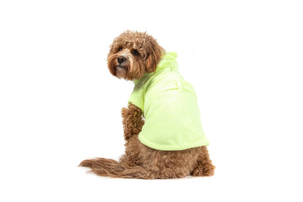 Big and Little Dogs Badjas Lime - Premium Hondenbadjas > Dogrobe from Big and Little Dogs - Just €20! Shop now at Frenkiezdogshop