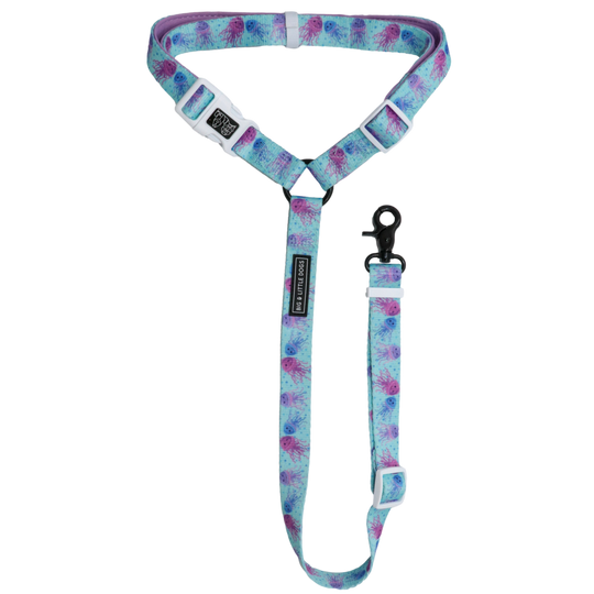 Big and Little Dogs premium autogordel Don't Be Jelly - Premium Autogordel > Autoriem from Big and Little Dogs - Just €10! Shop now at Frenkiezdogshop