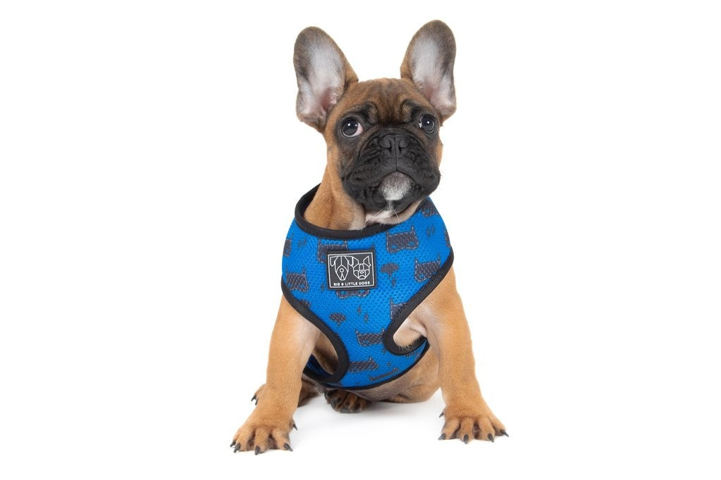 Big & Little Dogs Classic Harness Bat-Dog - Premium hondentuig > honden harnas from Big and Little Dogs - Just €10! Shop now at Frenkiezdogshop