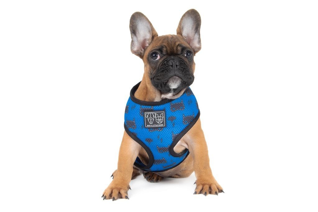 Big & Little Dogs Classic Harness Bat - Dog hondentuig > honden harnas > model A X - Small
