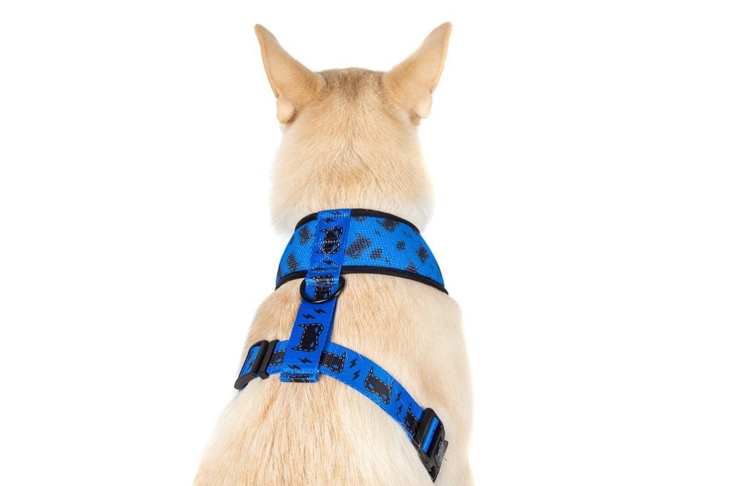 Big & Little Dogs Classic Harness Bat - Dog hondentuig > honden harnas > model A X - Small