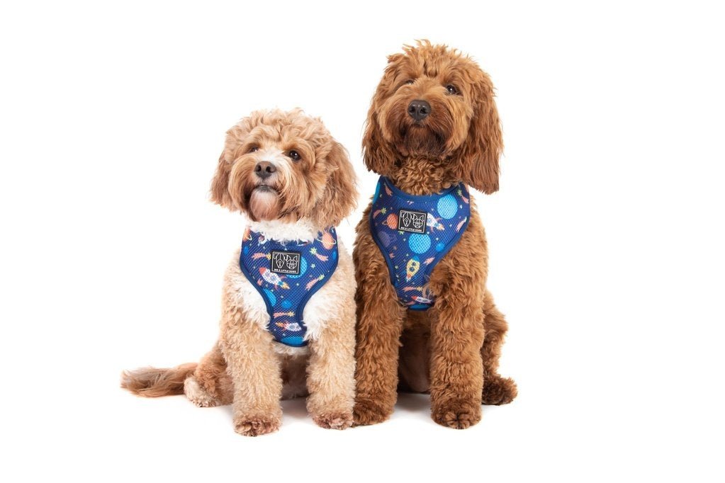 Big & Little Dogs Classic Harness Galactic Adventures hondentuig > honden harnas > model A X - Large