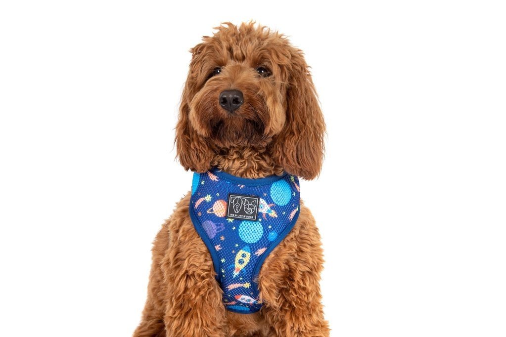 Big & Little Dogs Classic Harness Galactic Adventures hondentuig > honden harnas > model A X - Large