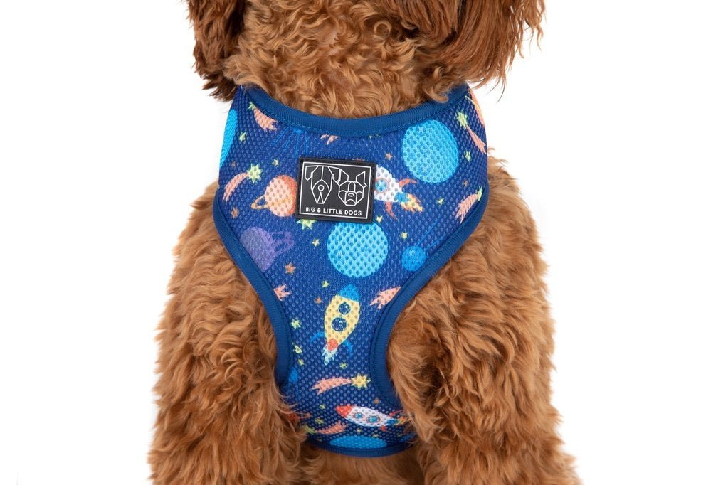 Big & Little Dogs Classic Harness Galactic Adventures hondentuig > honden harnas > model A X - Large