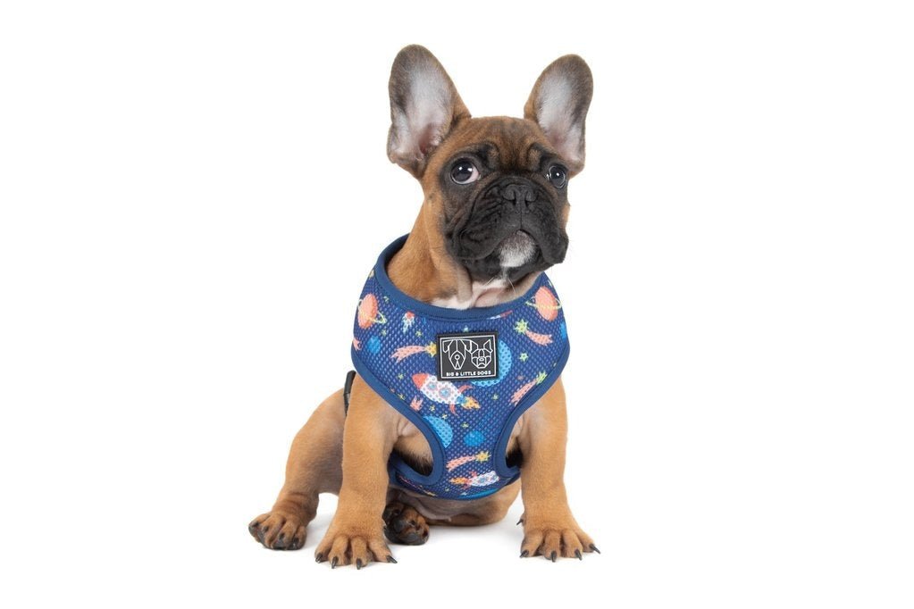 Big & Little Dogs Classic Harness Galactic Adventures hondentuig > honden harnas > model A X - Large