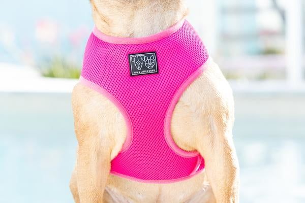 Big and Little Dogs Classic Harness Hot Pink - Premium hondentuig > honden harnas from Big and Little Dogs - Just €10! Shop now at Frenkiezdogshop