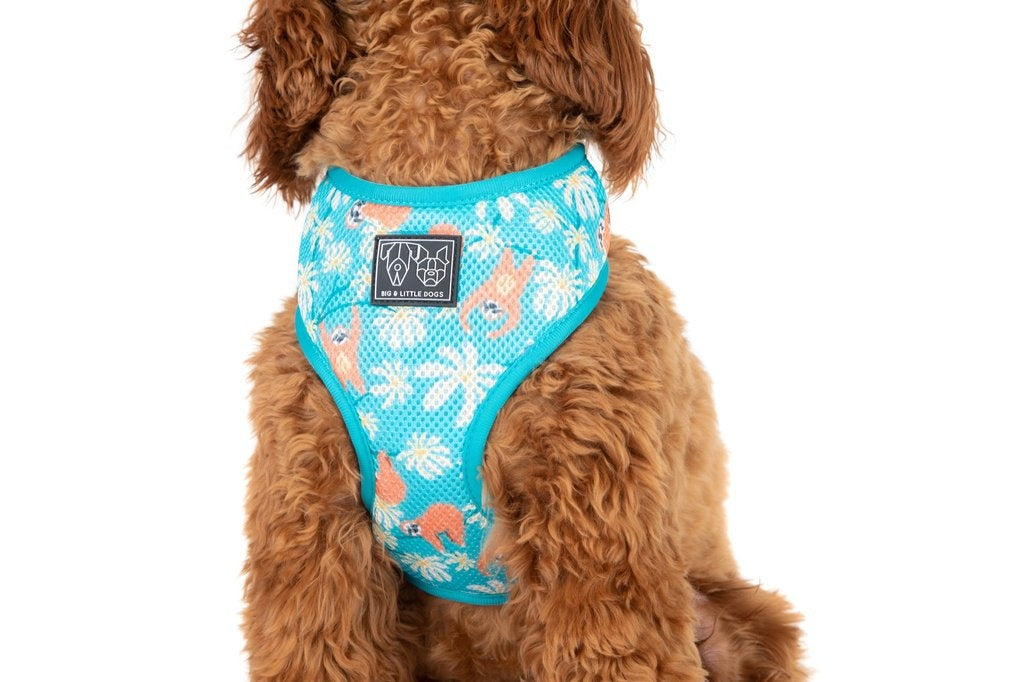 Big & Little Dogs Classic Harness Slotin' Around - Premium hondentuig > honden harnas from Big and Little Dogs - Just €10! Shop now at Frenkiezdogshop