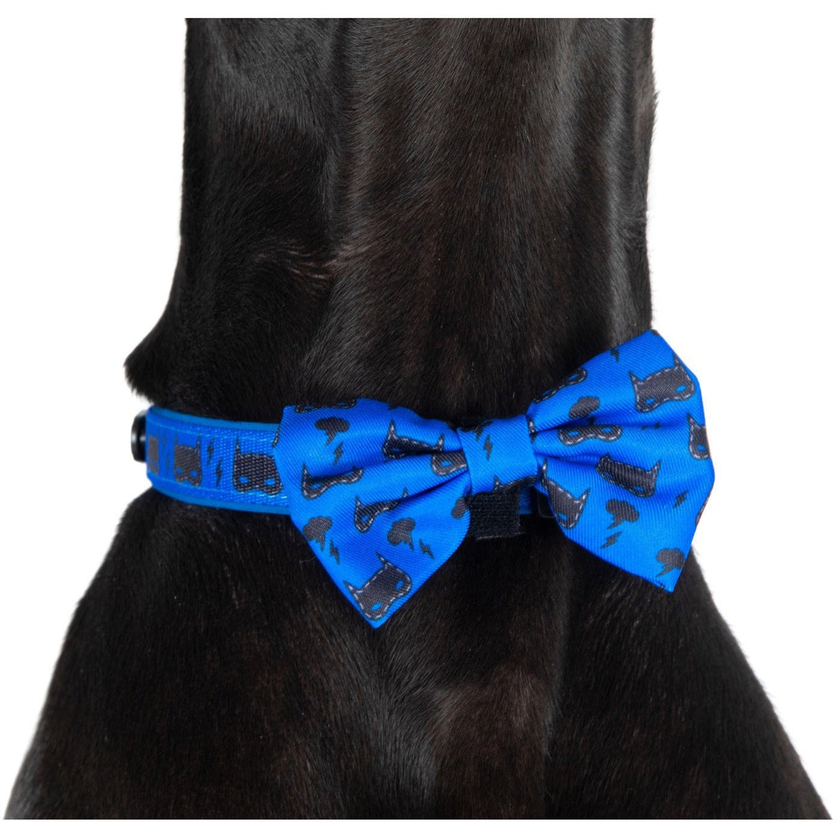 Big and Little Dogs Collar & Bow-tie Bat-Dog - Premium Hondenstrik > strik from Big and Little Dogs - Just €10! Shop now at Frenkiezdogshop