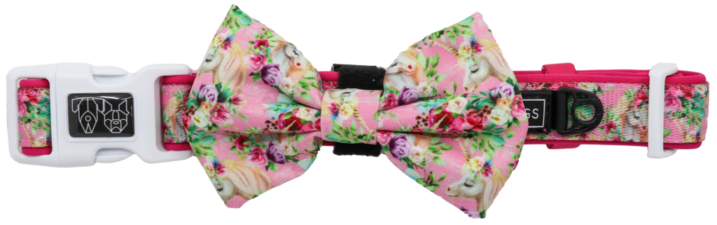 Big and Little Dogs Halsband Born to be a Unicorn - Premium halsband > hondenhalsband from Big and Little Dogs - Just €10! Shop now at Frenkiezdogshop