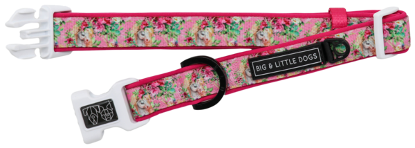 Big and Little Dogs Halsband Born to be a Unicorn - Premium halsband > hondenhalsband from Big and Little Dogs - Just €10! Shop now at Frenkiezdogshop