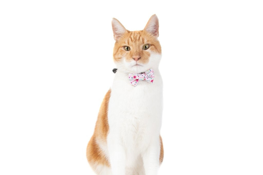 Little Kitty Cat Collar & Bow Tie Fancy Florals - Premium halsband > kattenhalsband from Little Kitty - Just €10! Shop now at Frenkiezdogshop