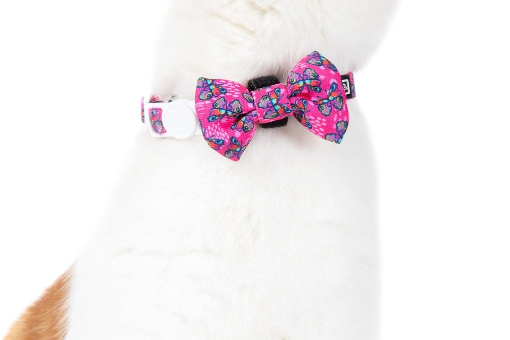 Little Kitty Cat Collar & Bow Tie Flutterly Fab - Premium halsband > kattenhalsband from Little Kitty - Just €10! Shop now at Frenkiezdogshop