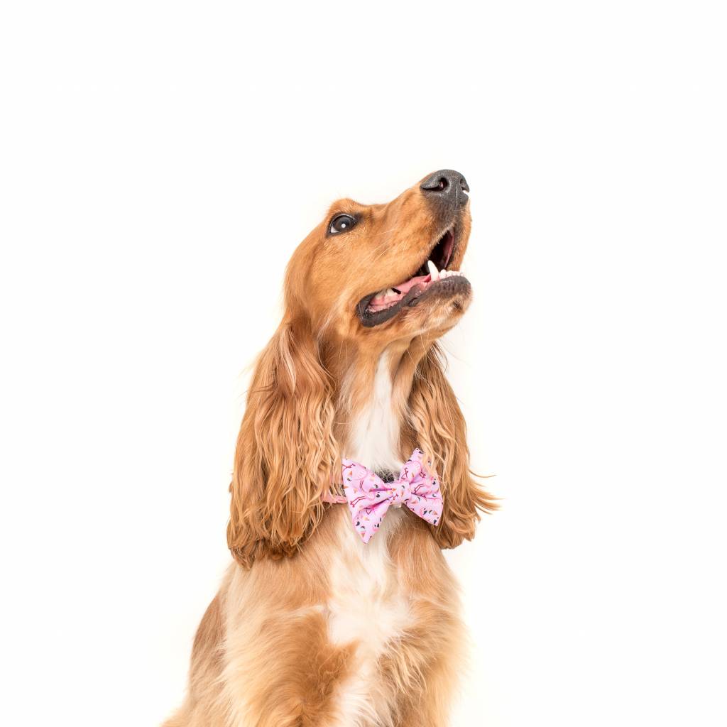 Big and Little Dogs Halsband For Flocks Sake ( L ) - Premium halsband > hondenhalsband from Big and Little Dogs - Just €10! Shop now at Frenkiezdogshop