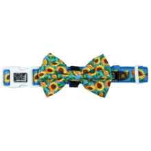 Big and Little Dogs Halsband Hello Sunshine - Premium halsband > hondenhalsband from Big and Little Dogs - Just €10! Shop now at Frenkiezdogshop