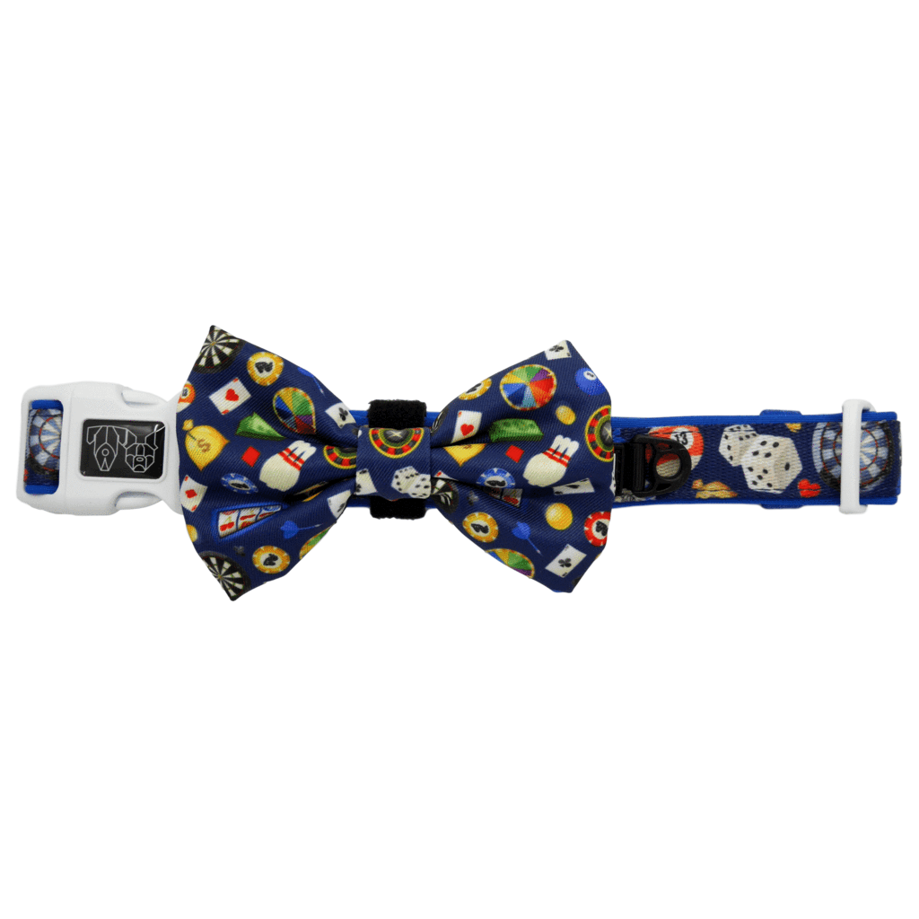 Big and Little Dogs Halsband High Roller - Premium halsband > hondenhalsband from Big and Little Dogs - Just €10! Shop now at Frenkiezdogshop