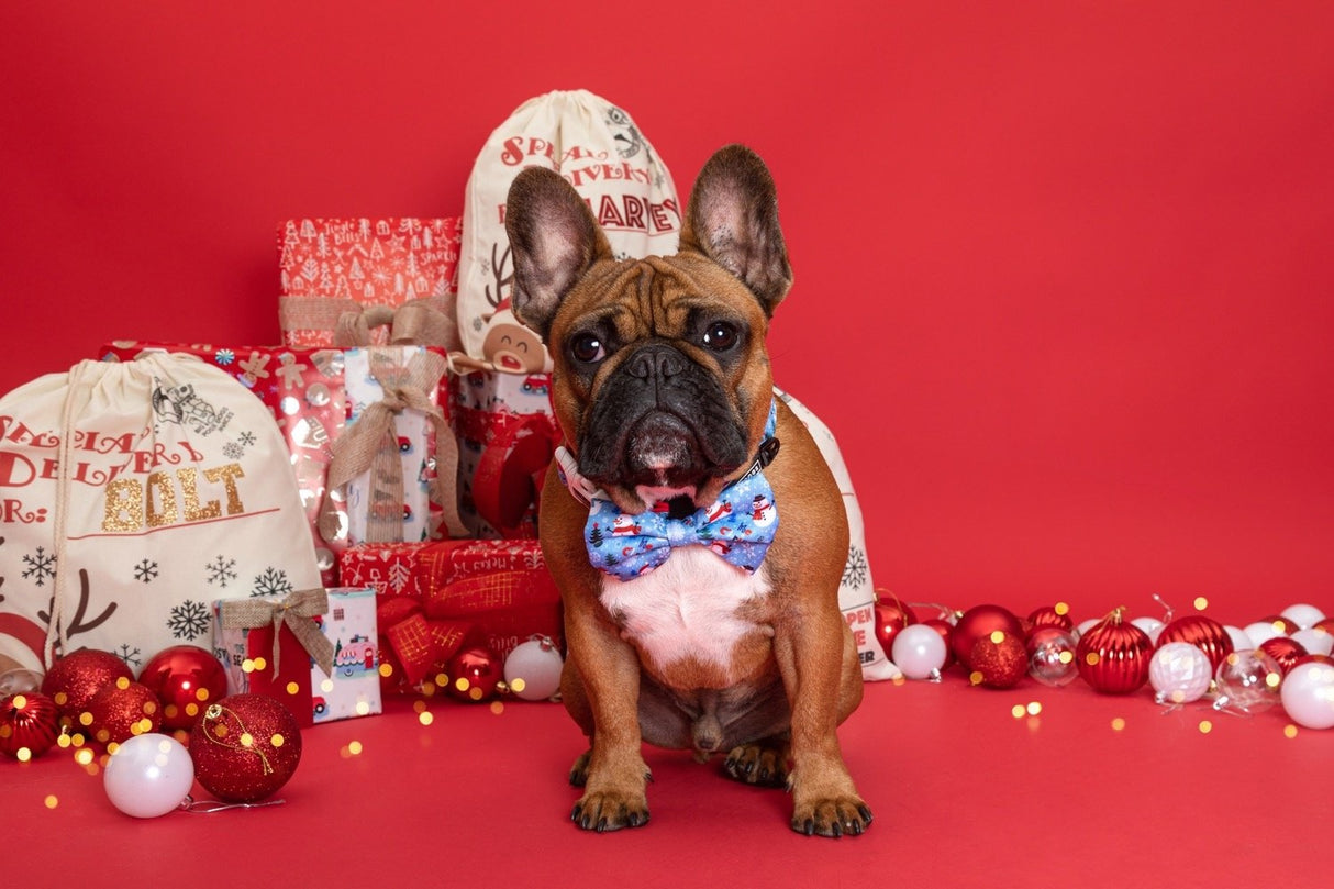 Big and Little Dogs Collar & Bow-tie Let It Snow - Premium Hondenstrik > strik from Big and Little Dogs - Just €10! Shop now at Frenkiezdogshop