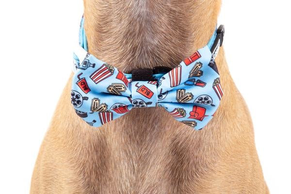Big and Little Dogs Halsband Lights, Camera, Action - Premium halsband > hondenhalsband from Big and Little Dogs - Just €10! Shop now at Frenkiezdogshop