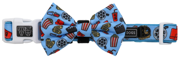 Big and Little Dogs Halsband Lights, Camera, Action - Premium halsband > hondenhalsband from Big and Little Dogs - Just €10! Shop now at Frenkiezdogshop