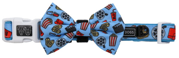 Big and Little Dogs Halsband Lights, Camera, Action halsband > hondenhalsband X - Small