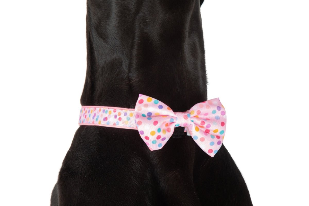 Big and Little Dogs Collar & Bow - tie Pink Confetti halsband > hondenhalsband X - Small