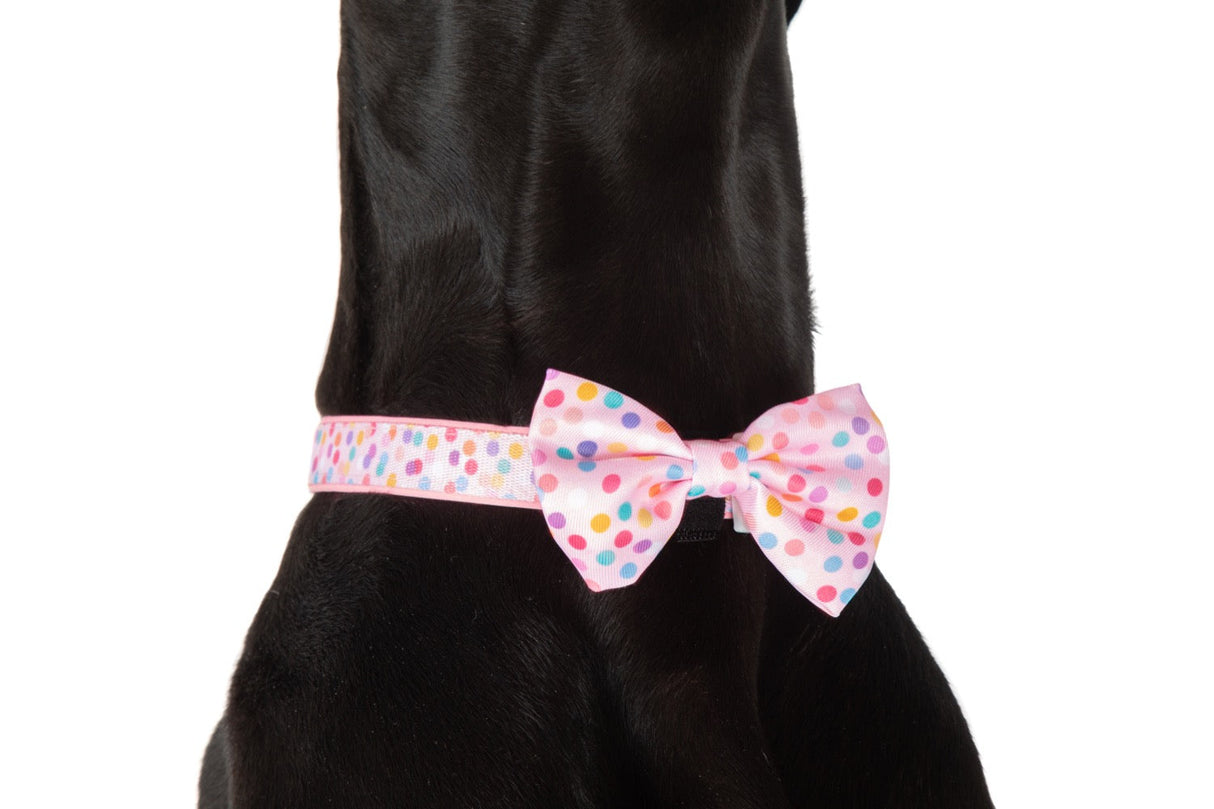 Big and Little Dogs Collar & Bow-tie Pink Confetti - Premium Hondenstrik > strik from Big and Little Dogs - Just €10! Shop now at Frenkiezdogshop